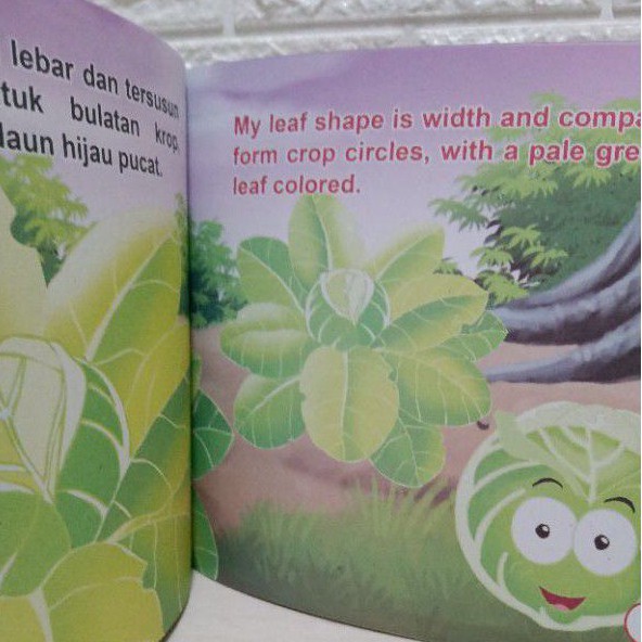 Buku Cerita KUBIS Untuk Anak / Bilingual