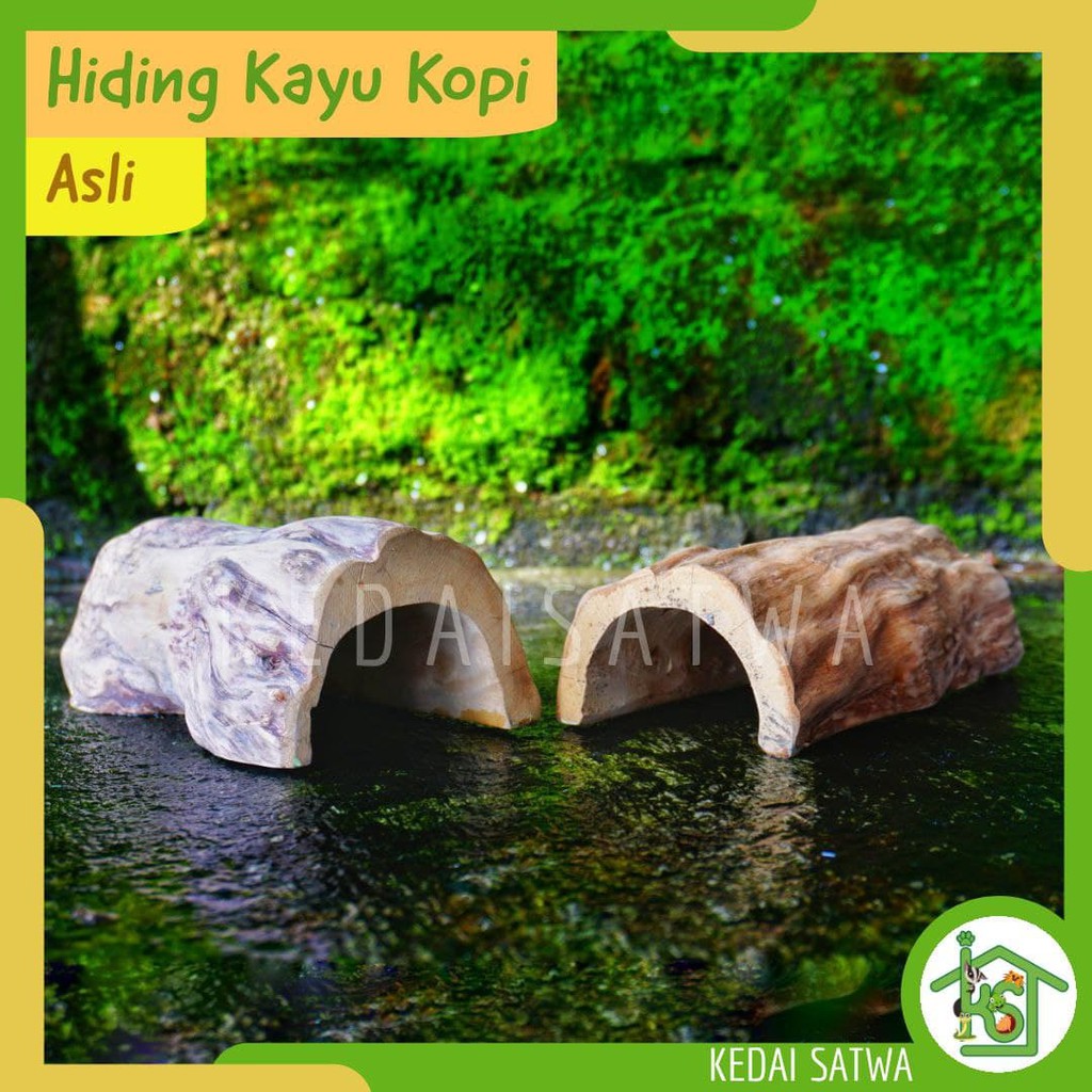 Hiding Cave Kayu Kopi Asli untuk Gecko, Tarantula, Ular, Kadal Duri dll. -Kedaisatwa