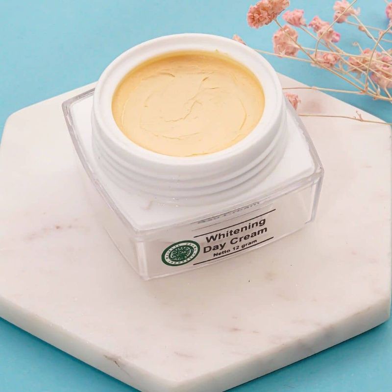 MS GLOW / MS GLOW ORIGINAL / WHITENING DAY CREAM / CREAM WHITENING MS GLOW / CREAM PAGI MS GLOW