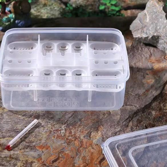 ♛ Inkubator tray media tetas telur telor reptil reptile gecko tortoise - 16 telur ☝