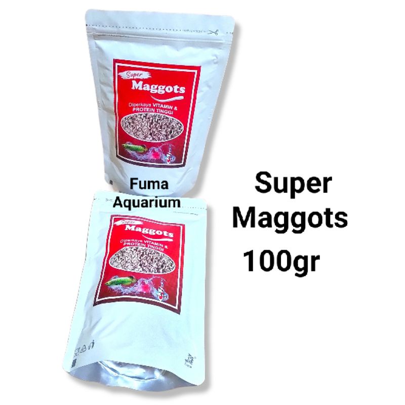 SUPER MAGGOTS PREMIUM MAGGOT BSF Grade A Kering 100gr Pakan Channa Arwana Koi dll