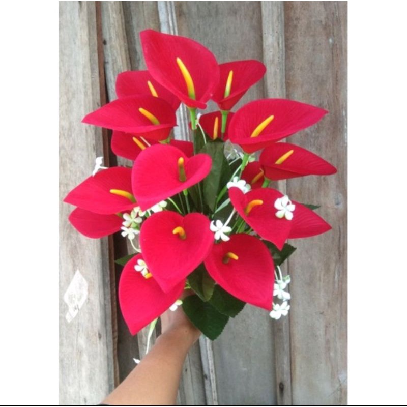 bunga aron cabang 12/7/18 bunga pelastik