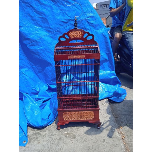 kandang burung ciblek kolibri pleci ukir jati