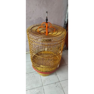 kandang burung murai batu vernis