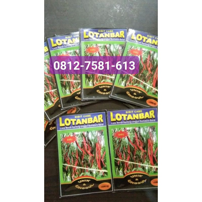 Bibit CMK LOTANBAR