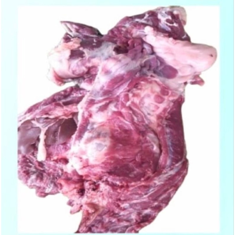 

daging kambing segar 500 gram