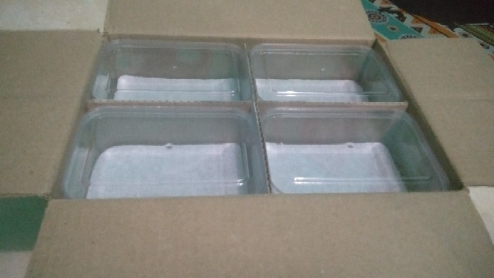 Toples Segi Nuai 0.5 Kg Kue Kering Sn 377 T