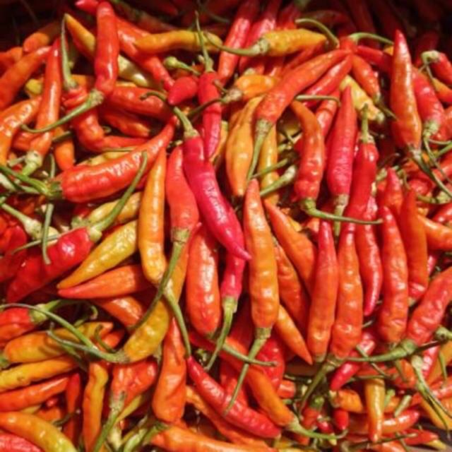 

Cabe merah rawit fresh
