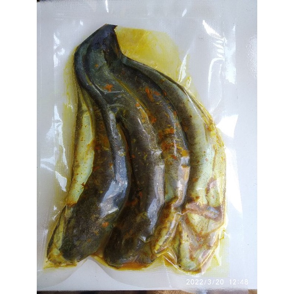 

Ikan Lele Bumbu Frozen