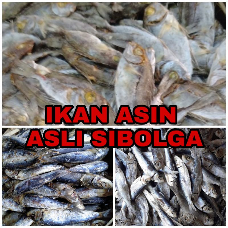 

IKAN TAPIS / REBUS MANING / REBUS DENCIS ASLI SIBOLGA