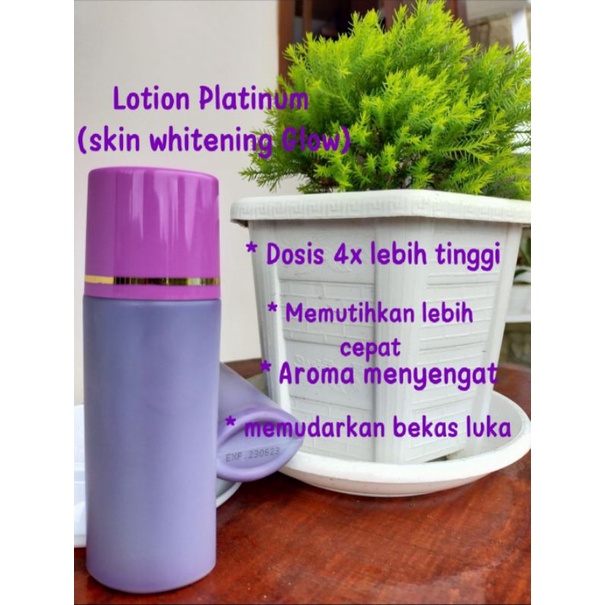 HB malam skin whitening glow (anggur platinum) #dikirim tanpa stiker