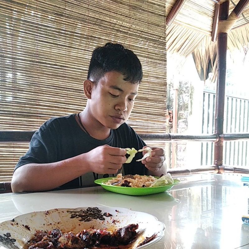

Obat diet