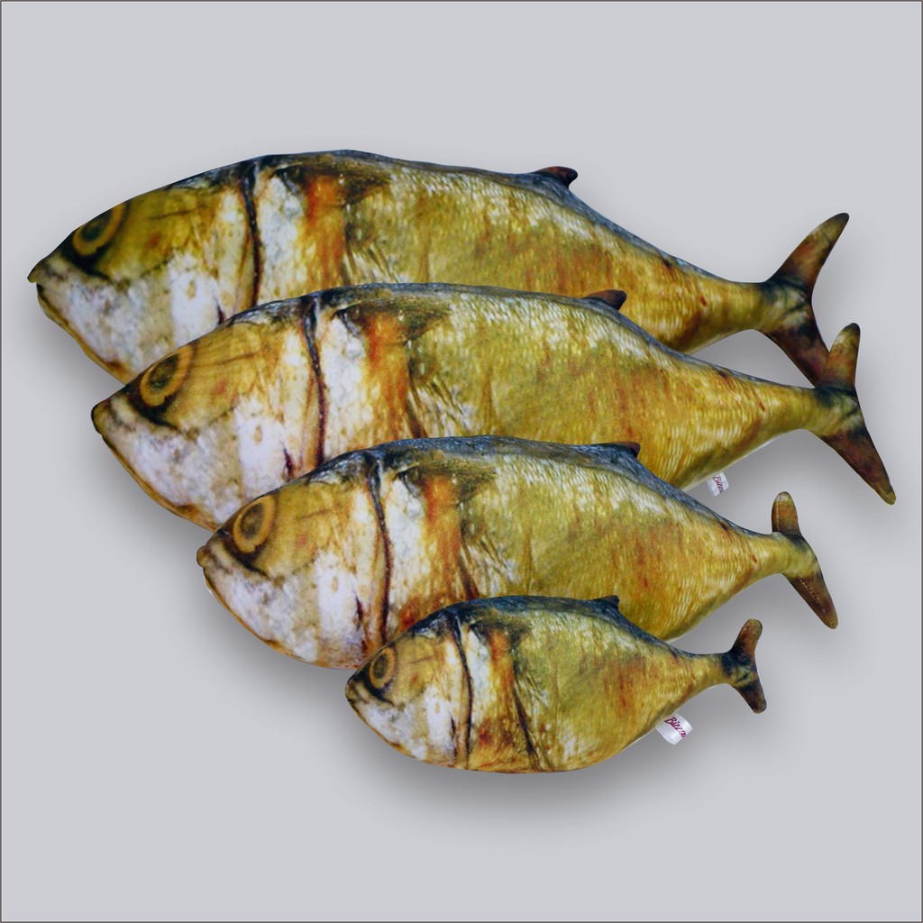 Bizzarpillow Bantal Ikan Asin Size S BZ069