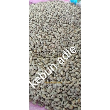 biji benih bibit porang atu sepora