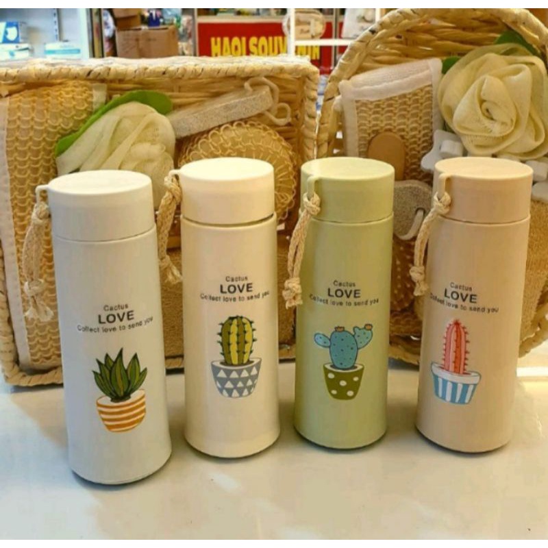 Botol kaktus botol kaca kaktus cantik