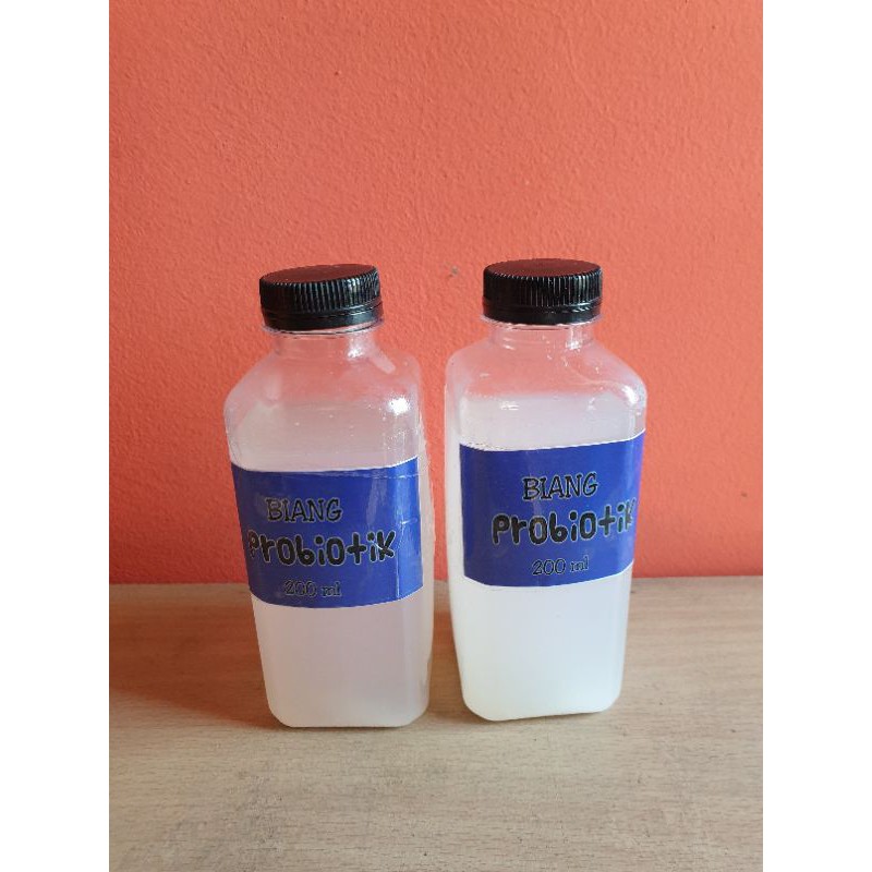 

biang probiotik fermentasi