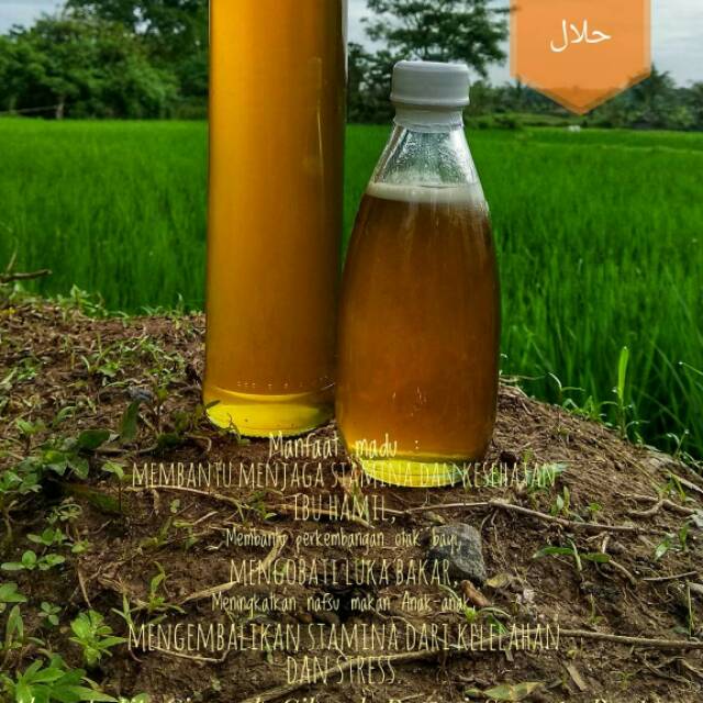 

Madu Murni