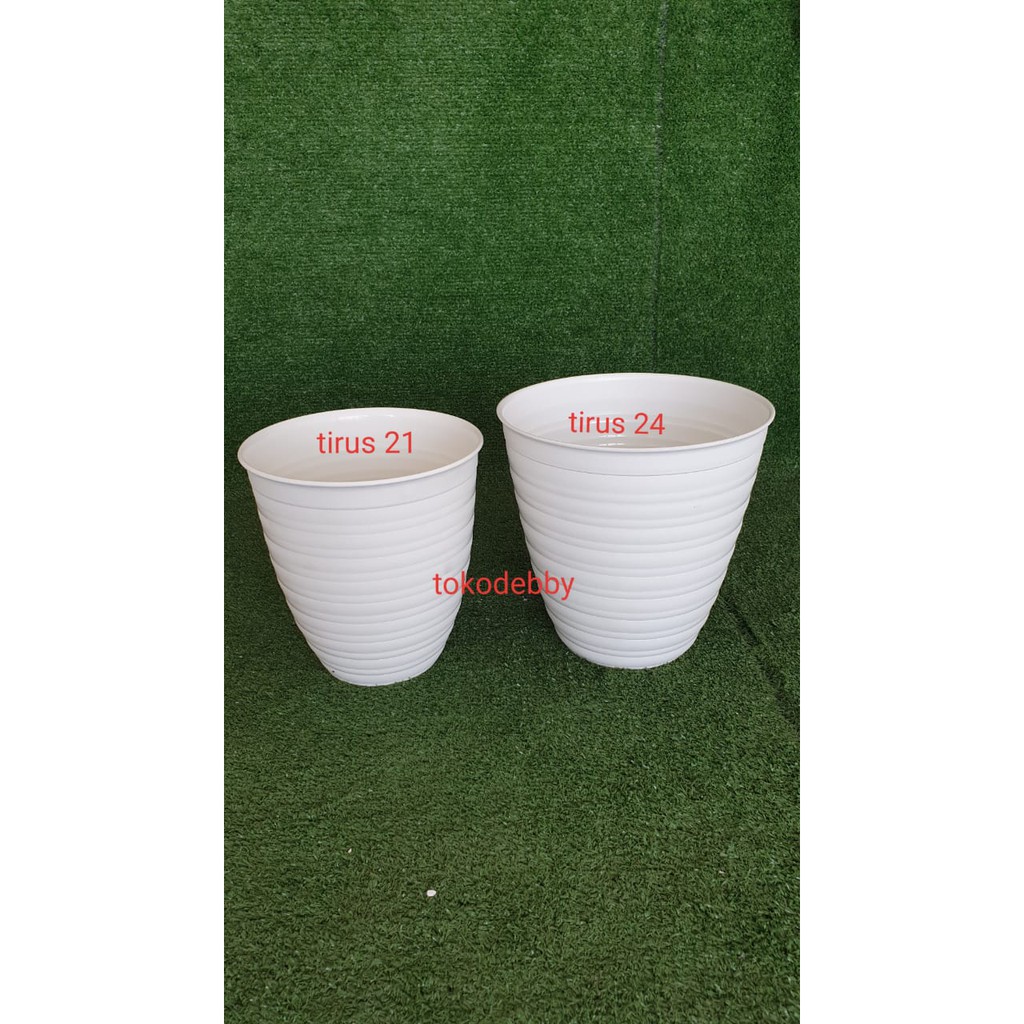  Pot Tawon Tirus  Pirus 21 Putih Shopee Indonesia