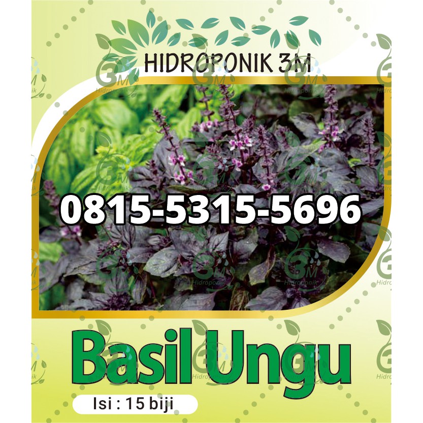 Benih - Basil Ungu - REPACK