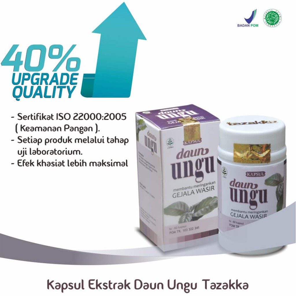 KAPSUL DAUN UNGU Obat Wasir Herbal Ambeyen Tazakka ORIGINAL Halal BPOM | Herbal WASIR