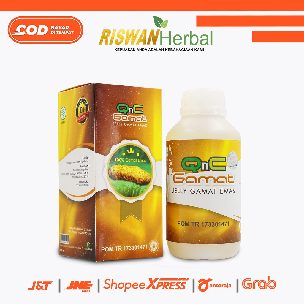 Obat Stroke Struk Ringan Lumpuh Penyumbatan Pembuluh Darah Kesemutan Mati Rasa Herbal Qnc Jelly Gamat 300 Ml Original