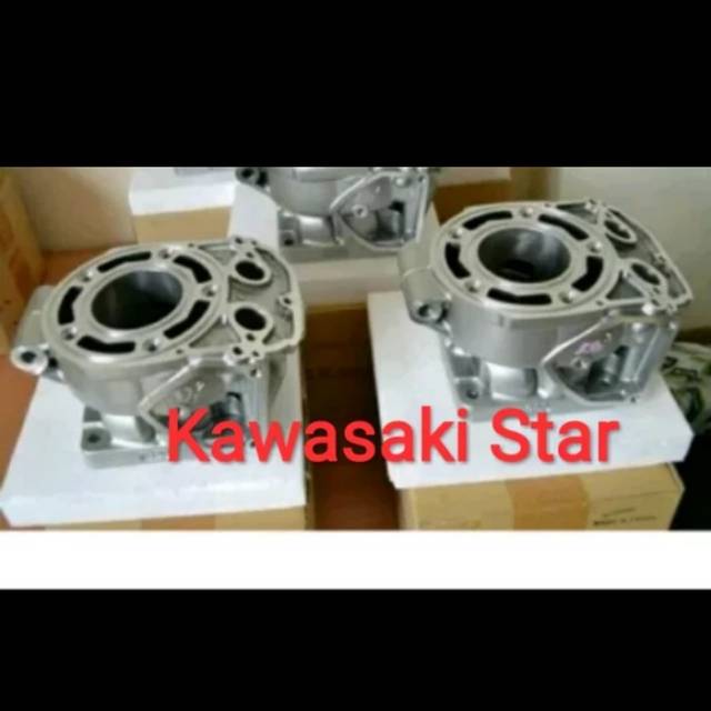 block  blok seher ninja R original kawasaki