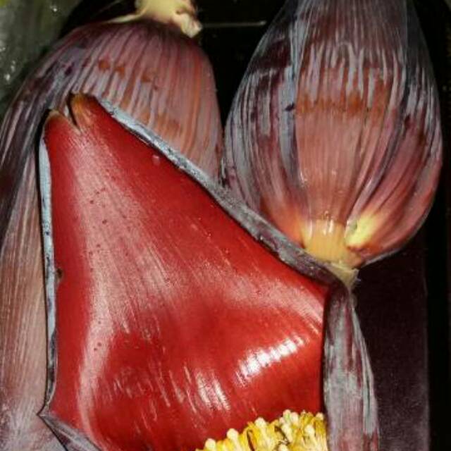 

Jantung pisang fresh