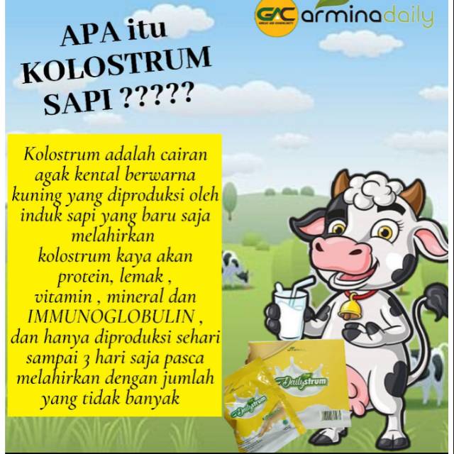 

susu kolostrum dailystrum isi 10sachet -kolostrum sapi