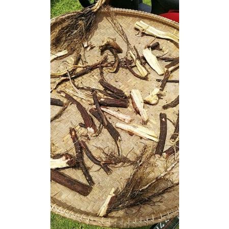 

Akar Turi 100gr