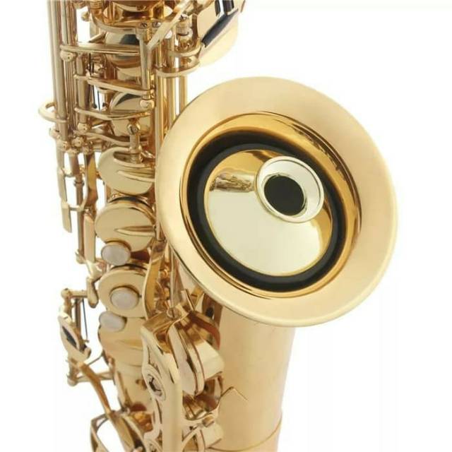 Sourdine Pour Saxophone Alto - Matériau ABS - Réduit Le Son Pour Pratique Silencieuse - Facile à Transporter