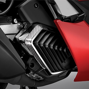 GARNISH RADIATOR PCX 160