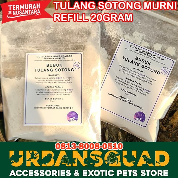 TULANG SOTONG MURNI CALCIUM MOON BUBUK 20GRAM TERMURAH TORTO SULCATA ALDABRA