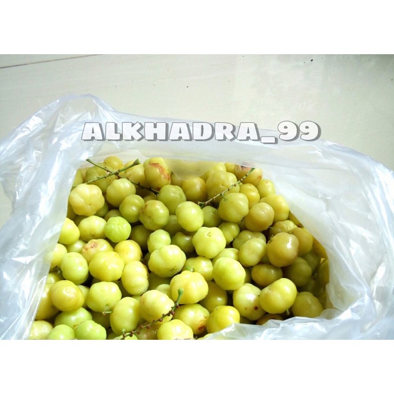 

Buah Cermai Cermei Cerme Cereme Per100 gr Segar Higienis Langsung petik
