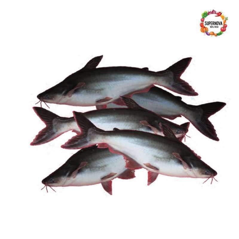 

ikan patin 1/2 kg