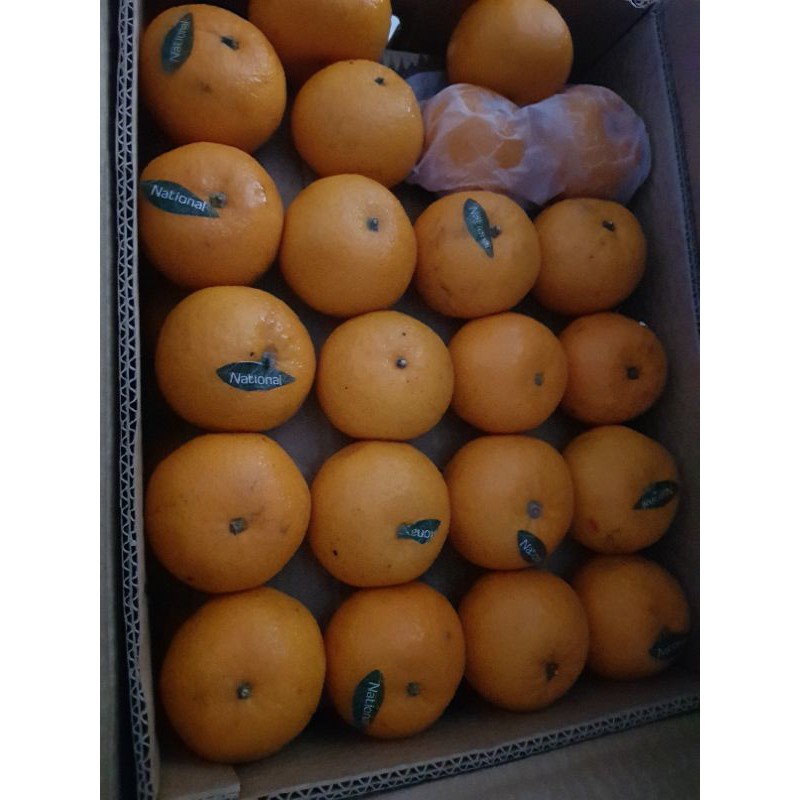 Jeruk Mandarin Kino Pakistan 1kg