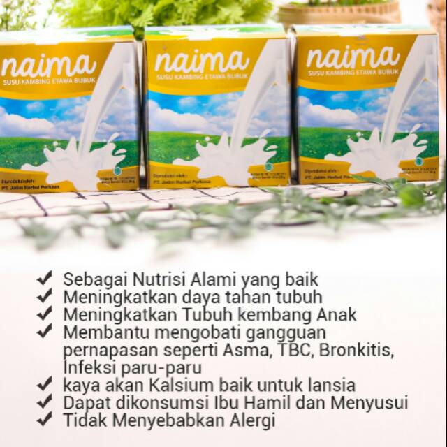 

Naima susu kambing, susu kambing sehat, susu kambing murah