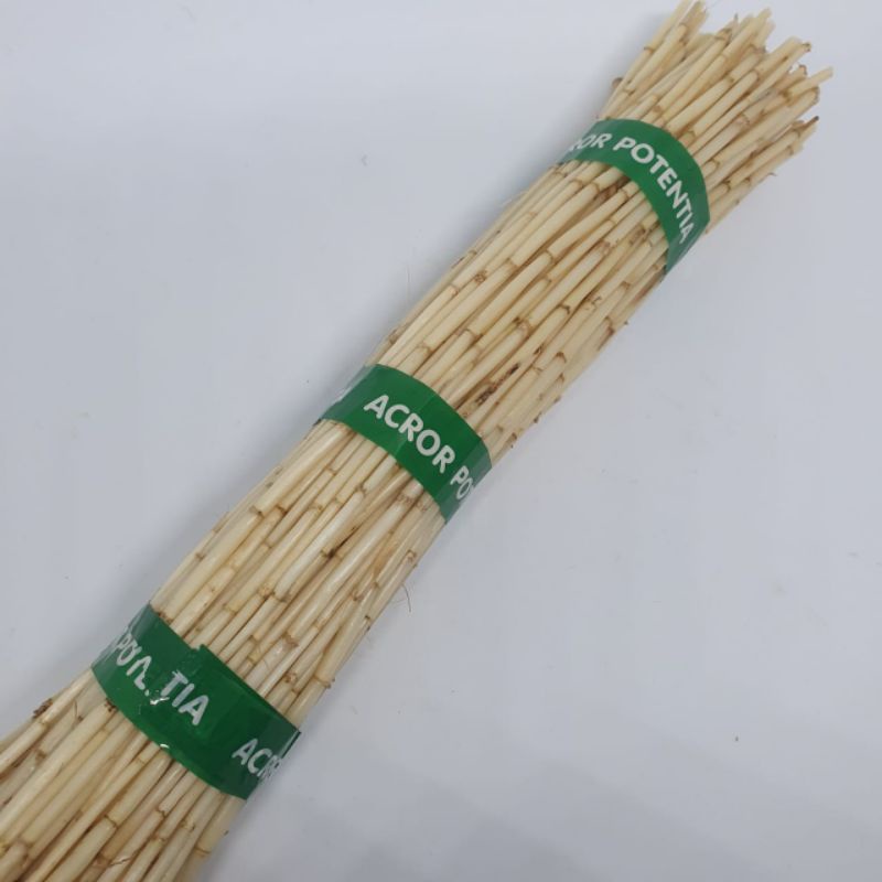 

Akar Alang alang segar/fresh 500gr