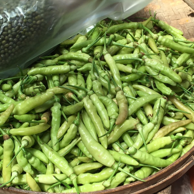 

Jual cabe rawit putih