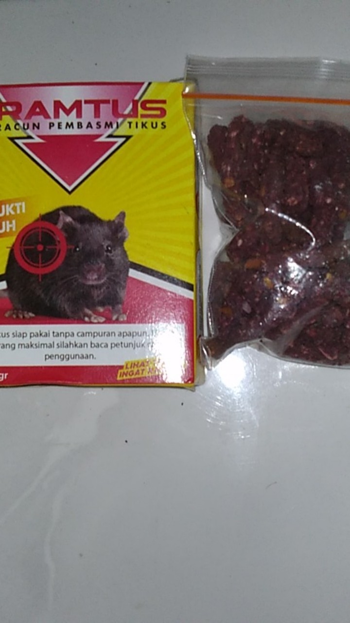Ramtus Racun Hama Tikus Paling Ampuh Obat Pengusir Pembasmi Tikus Curut Mati Kering Tidak Bau 1 Pack