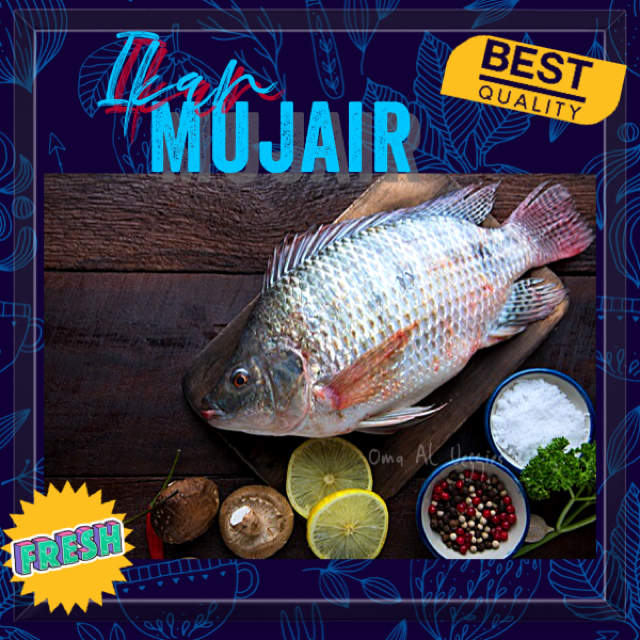 

IKAN MUJAIR SEGAR PER 2 EKOR ± 500 Gr