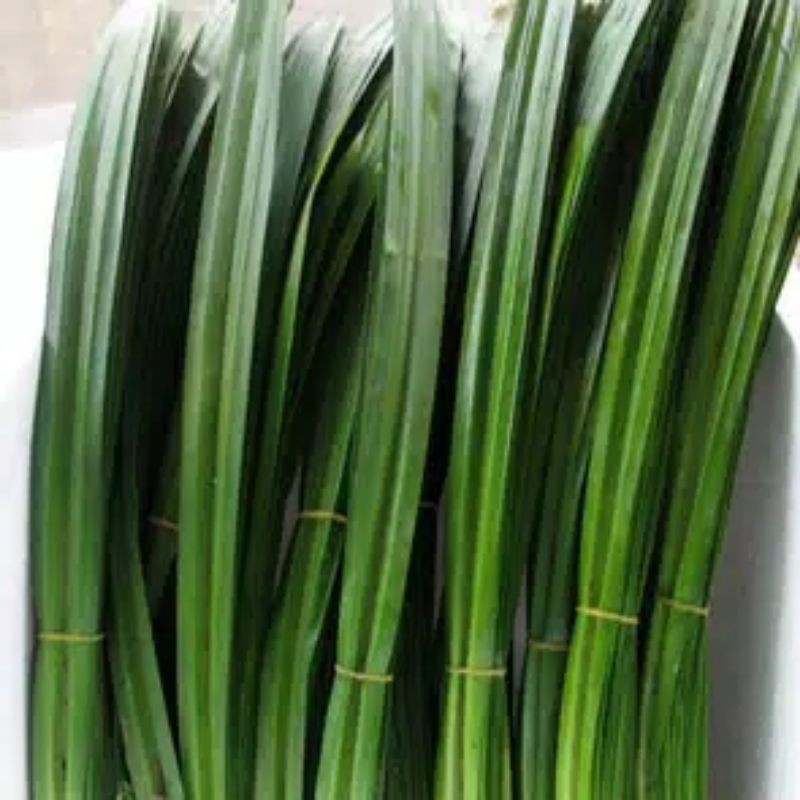 

Daun Pandan fresh