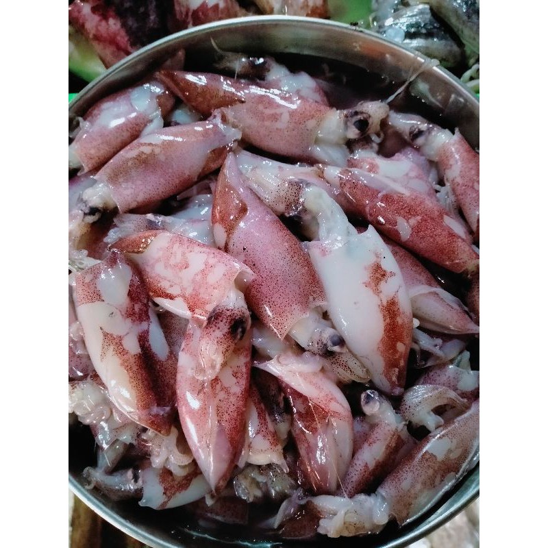 

CUMI SEGAR UKURAN STANDAR
