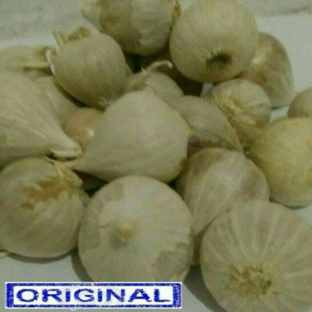 

Bawang Putih Lanang / Tunggal Asli Lokal 250 gram