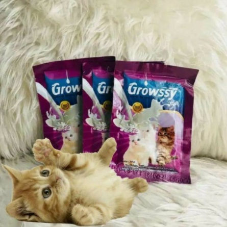 Susu Kucing Growssy Milk Sachet 20gr Kitten Cat 20 gram Baby Milk
