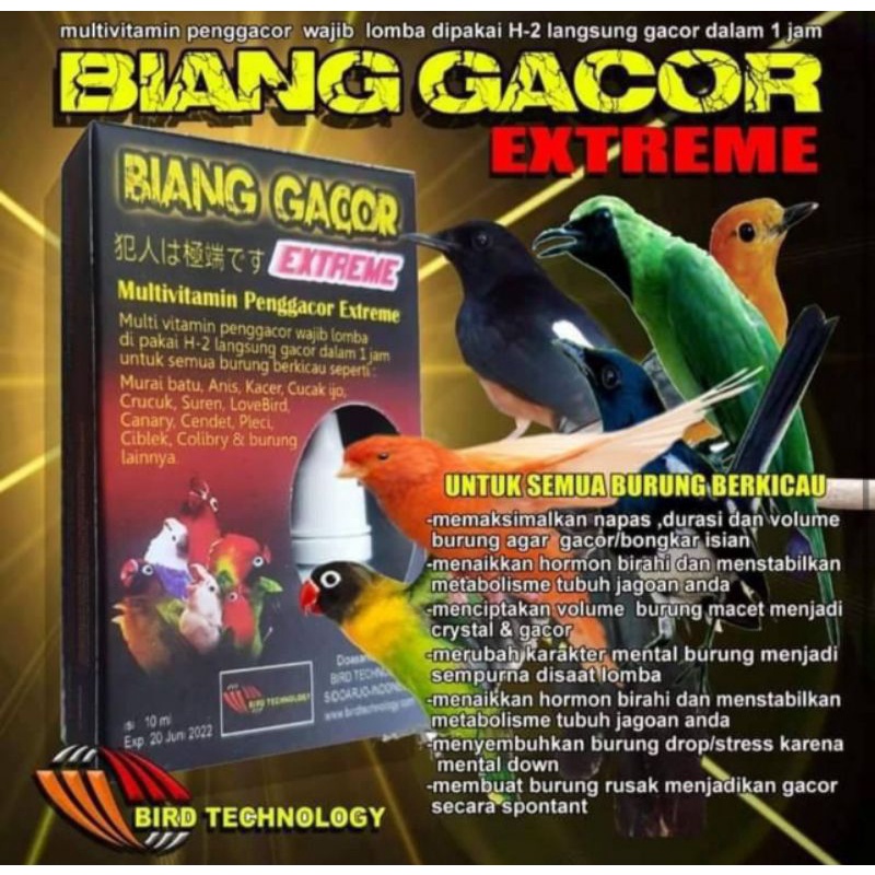 BIANG GACOR EXTREME PENGGACOR INSTANT