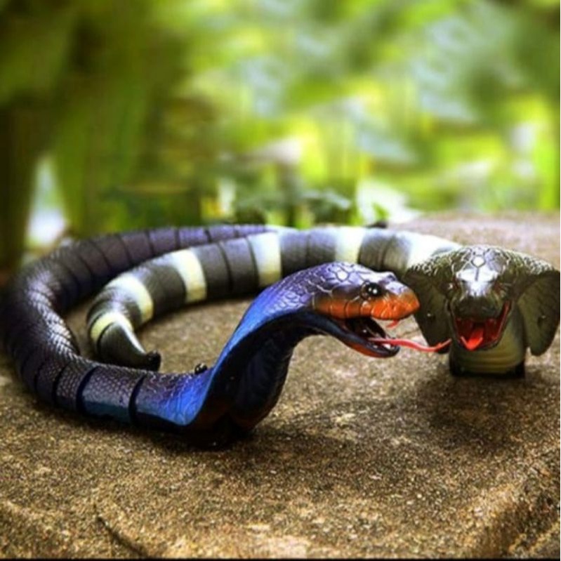 Mainan ular naja cobra remote control free baterai