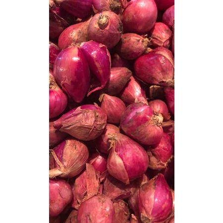 

Bawang Merah Brebes 1Kg