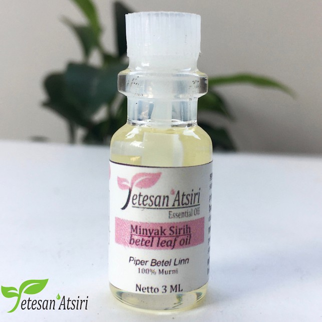 3ml minyak atsiri sirih murni 100% tanpa campuran piper betel leaf pure essential oil aromatherapy