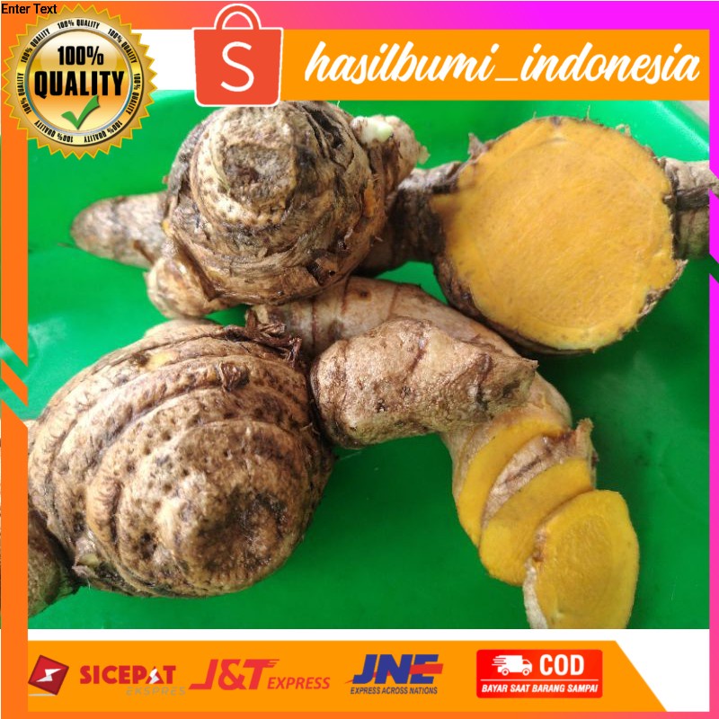 

Temulawak segar 1kg ready stok
