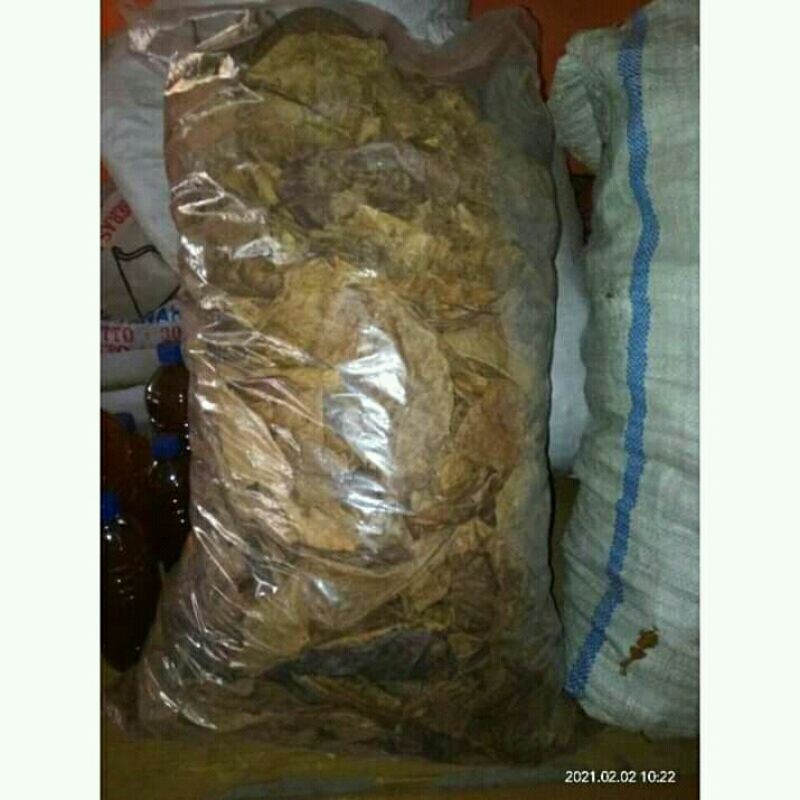 

Daun ketapang laut olahan 500gram